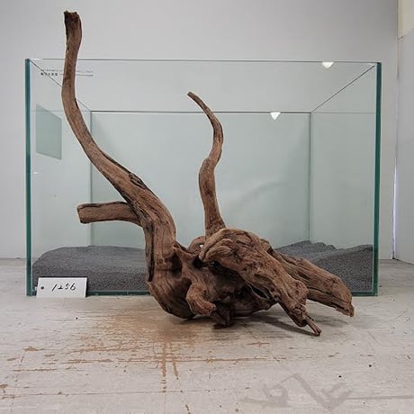 ☆流木☆希少 インテリア アクアリム L1 ☆流木☆希少 インテリア アクアリム L1