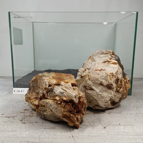 CATEGORY 木化石 | 流木専門店のアクアリバー/アクアリウム/グリーン