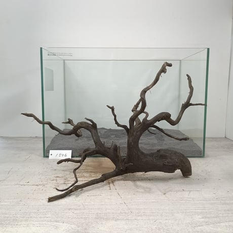 CATEGORY ブランチ系流木 | 流木専門店のアクアリバー/アクアリウム