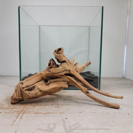 CATEGORY 流木（全種類） | 流木専門店のアクアリバー/アクアリウム