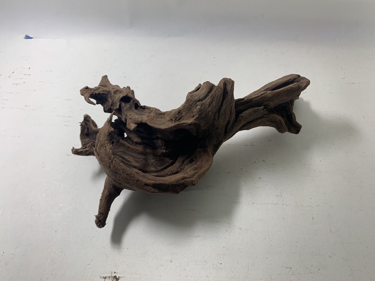 マングローブ系流木 Mサイズ 約25〜35㎝ おまかせ6本セット | 流木専門