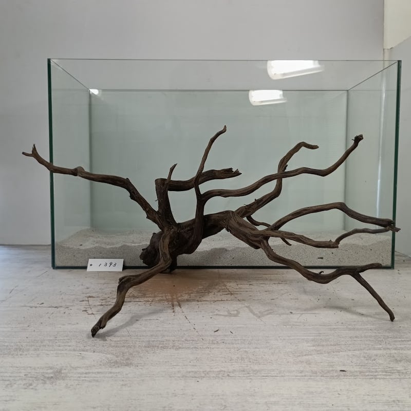 流木　約20.2㎝ ネシア流木 ブラックタイプ 2Lサイズ 1点ものNo.1393【W約46cm