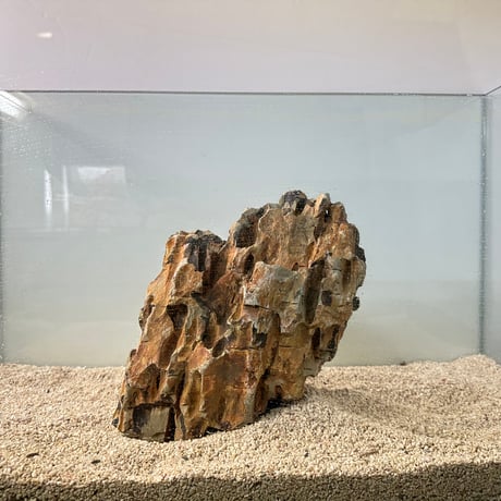 CATEGORY レイアウト自然石 | 流木専門店のアクアリバー/アクアリウム