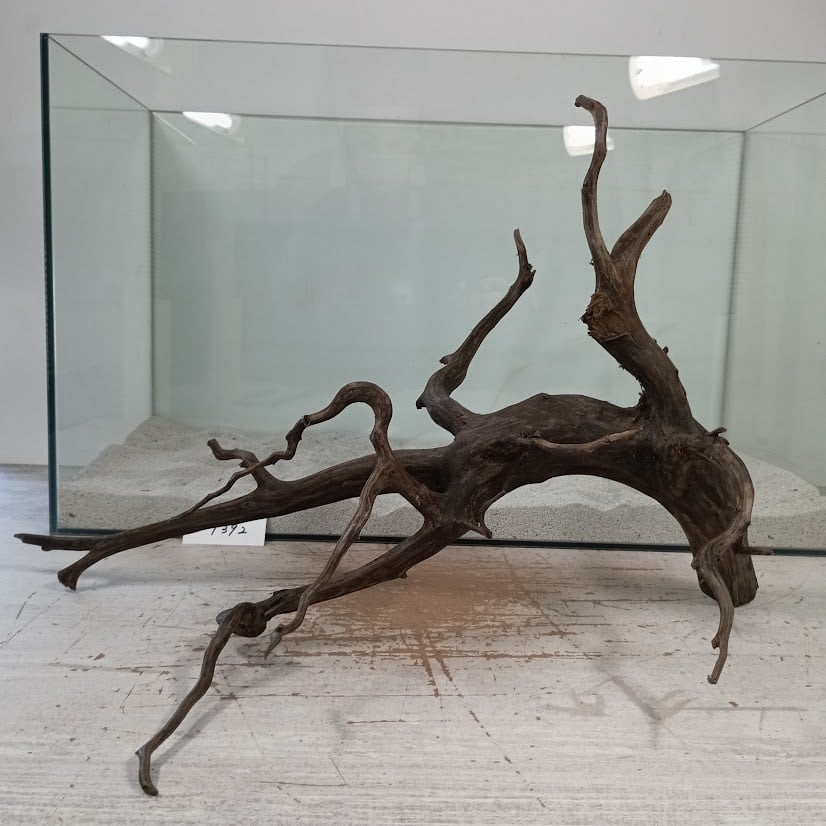 ネシア流木 ブラックタイプ 2Lサイズ 1点ものNo.1392【W約47cm