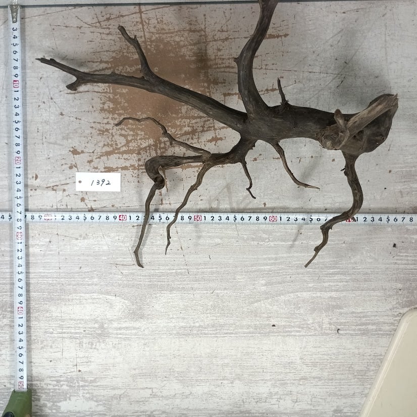 ネシア流木 ブラックタイプ 2Lサイズ 1点ものNo.1392【W約47cm