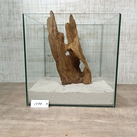 希少山型流木   Lサイズ　オンリーワン ★現物撮影  1点　No.1798(W約31㎝）  ★★オブジェ、インテリアにも★★