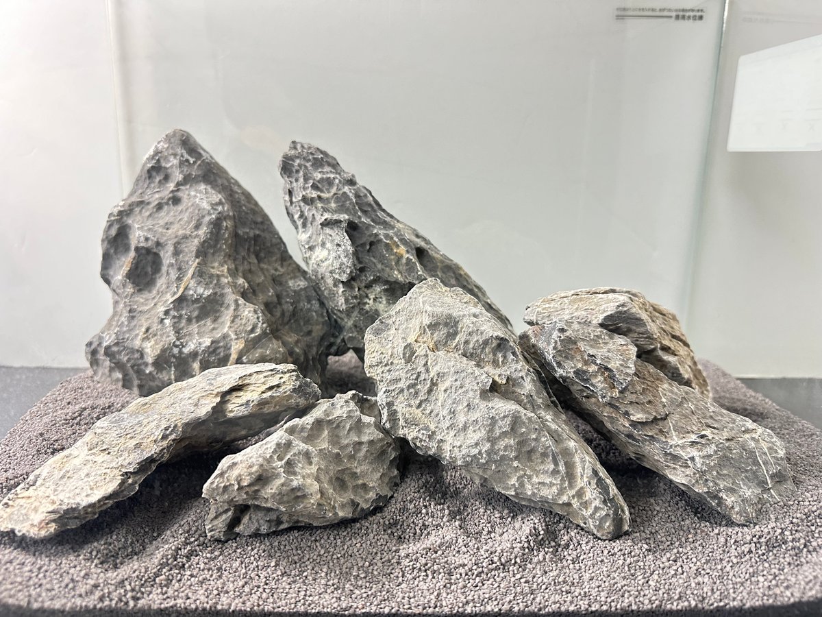 ☆青龍石 親石1点(約18.468kg)約37cm☆ Amazon.co.jp: 水槽装飾 青龍石 形状お任せ3個(約1100g) アクア