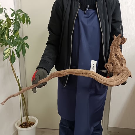 CATEGORY 流木（全種類） | 流木専門店のアクアリバー/アクアリウム