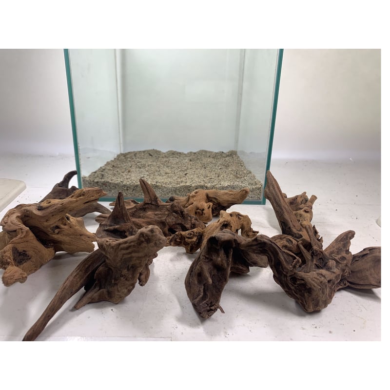 マングローブ系流木 プチサイズ 約10～15㎝ 10本入×1セット