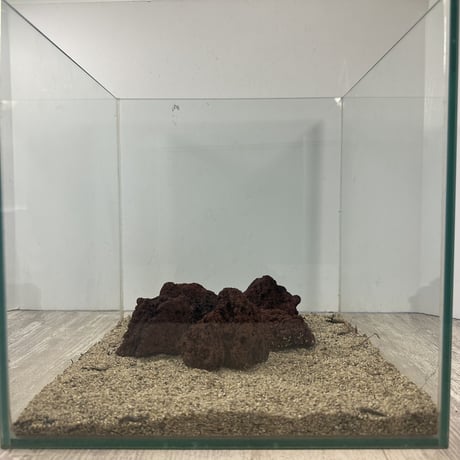 レッド溶岩石Ｓサイズ(約5cm〜10cm)　 ５個セット