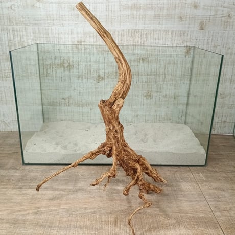 超お買い得ロングネシア流木 ブラウンタイプ　1点ものNo.1822【W約 59cm】