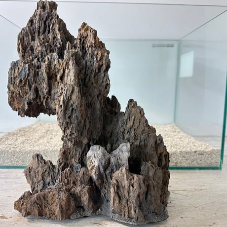気孔石山（美型） 一点物の水槽オブジェ No. 4950  (45cm水槽)(W約23cm/H約29cm)