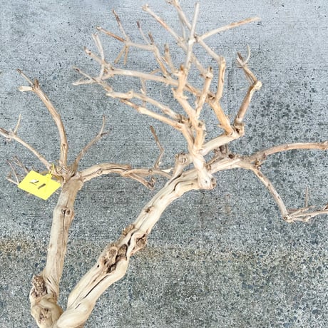 ハニーサックル 大（大型１点もの）(W約120cm/H約120cm/D60cm)　1本（店舗装飾、インテリア）No.5812