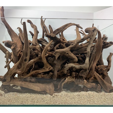 ！チニタ！アク抜き済み流木【100】セール チニタ！アク抜き済み流木【100】セール チニタ！アク抜き済み流木