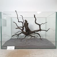 超BIG気孔石山（美型） 一点物の水槽オブジェ No. 5077 (60cm水槽)(W約