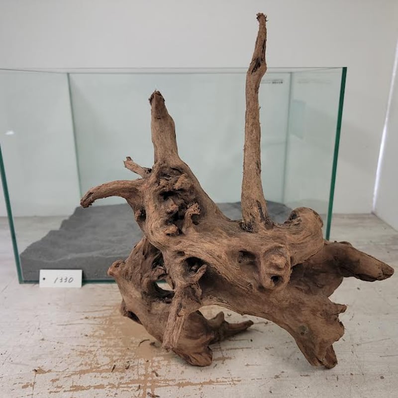 流木 造形美 希少] 