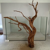 マングローブ系流木 Mサイズ 約25〜35㎝ おまかせ6本セット | 流木専門