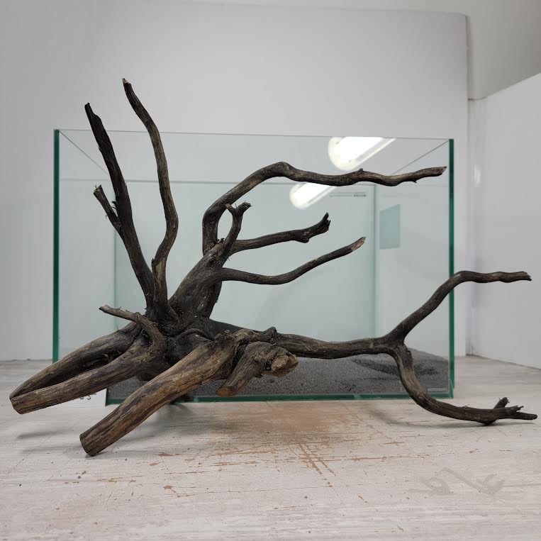 ネシア流木 ブラックタイプ 2Lサイズ 1点ものNo.1135【W約50cm