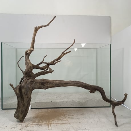 CATEGORY ブランチ系流木 | 流木専門店のアクアリバー/アクアリウム