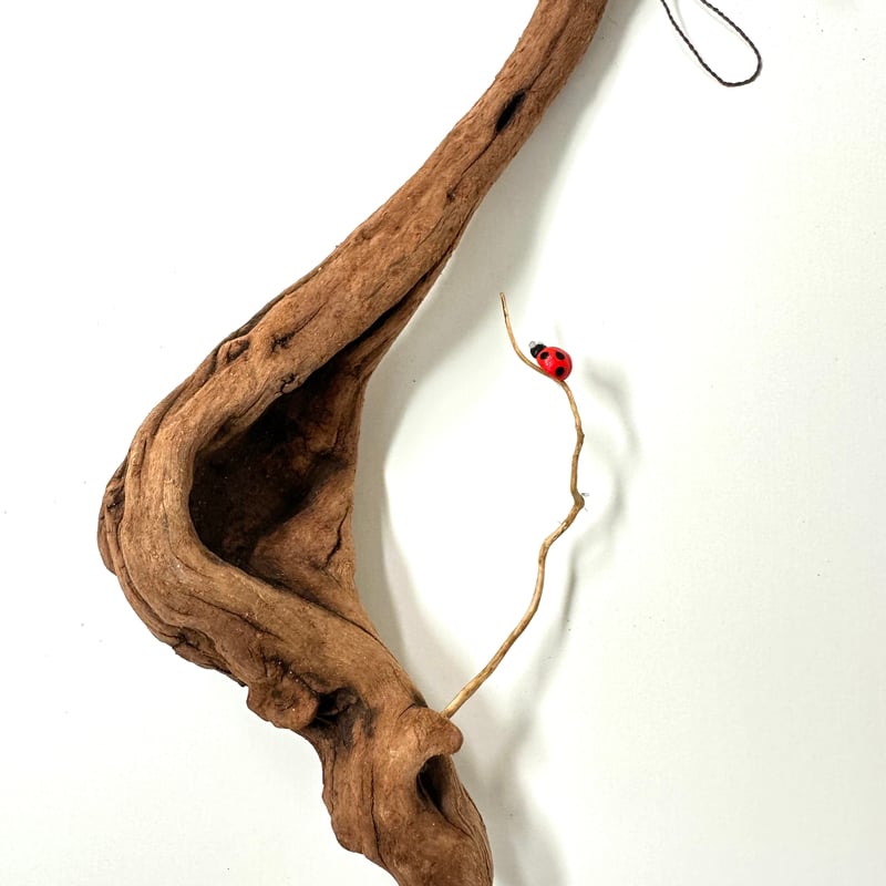 ハンギング流木 (てんとう虫装飾付き） No.4852 | 流木専門店のアクア