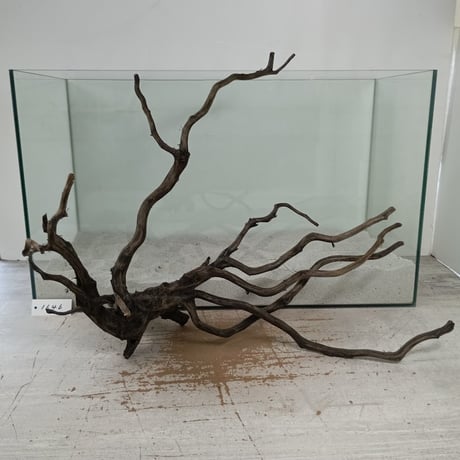 CATEGORY ブランチ系流木 | 流木専門店のアクアリバー/アクアリウム