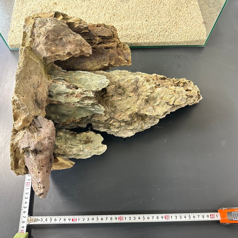 超BIG気孔石山(美型) 一点物の水槽オブジェ No. 5077 (60cm 超BIG気孔石山(美型) 一点物の水槽オブジェ No. 5077 (60cm