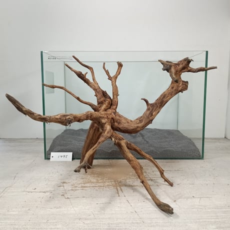 A-STYLE ネシアブランチウッド ブラウン流木 アク抜き済 LL 5個No1 A-STYLE ネシアブランチウッド ブラウン流木 アク抜き済 LL 5個