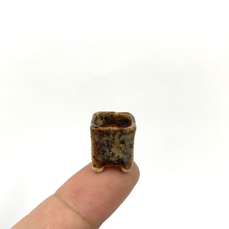 豆盆栽　玉木啓子造   No.14　【サイズ15mm以下】１点もの現物撮影