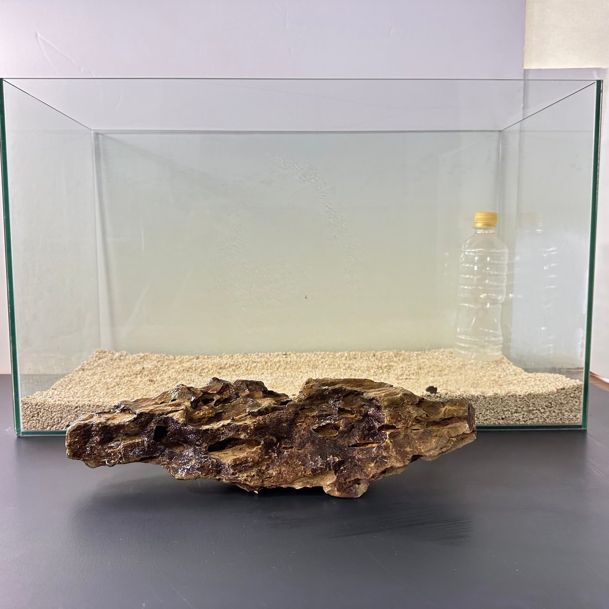 BIG気孔石 1点もの No.4971（W約34cm)(60cm水槽） | 流木専門店