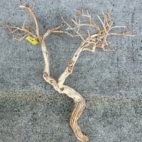 ハニーサックル 大（大型１点もの）(W約120cm/H約120cm/D60cm)　1本（店舗装飾、インテリア）No.5812