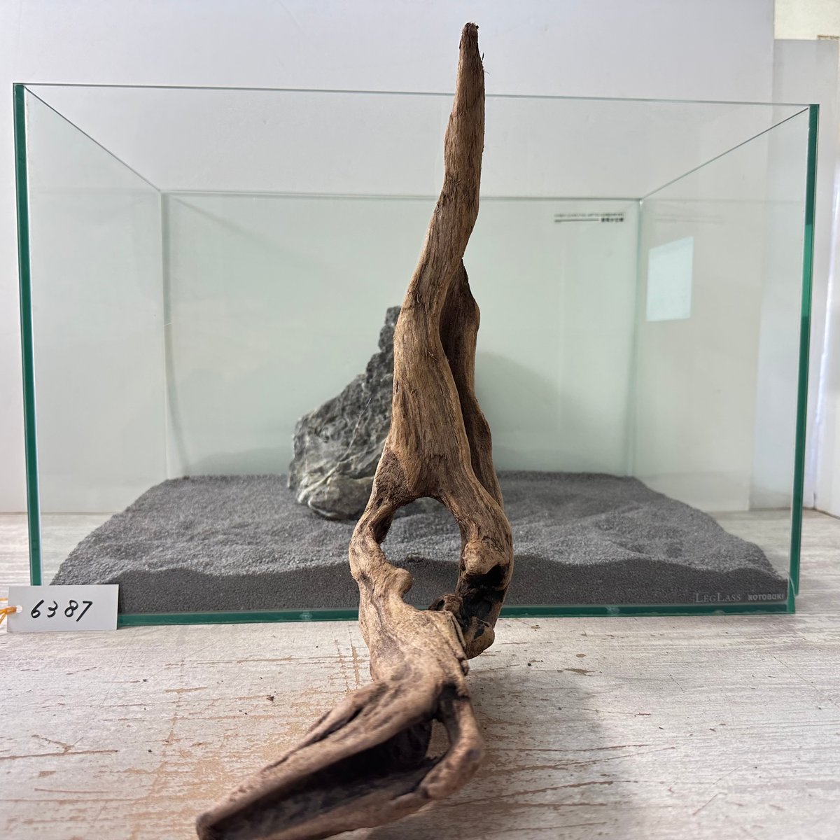 マングローブ系流木. 2Lサイズ(W約38cm)・オンリーワン ☆現物