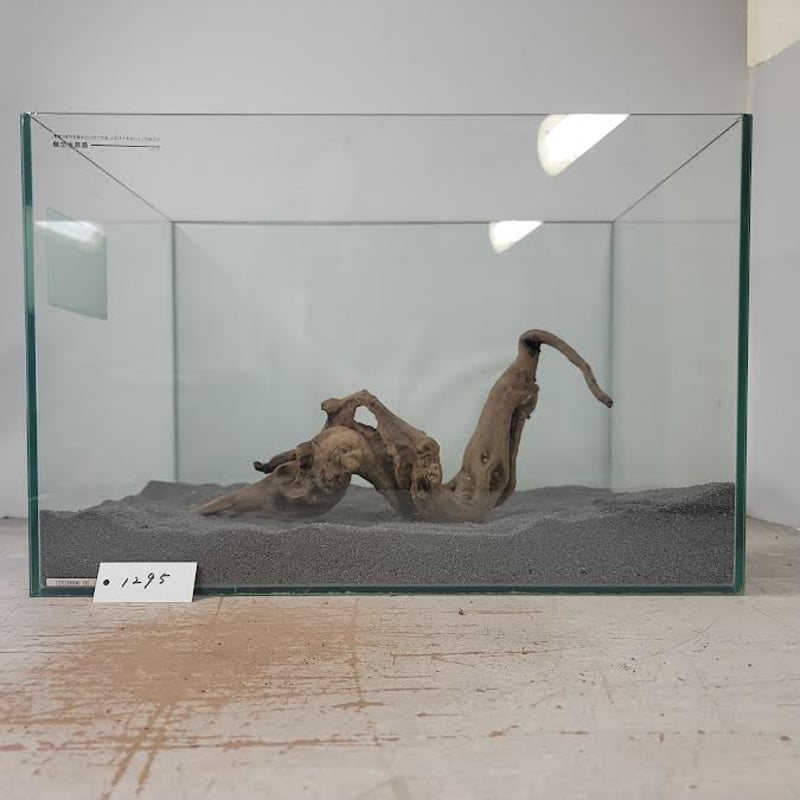 A-STYLE マングローブ流木 アク抜き済 写真分 No19 穴あきフォルム マングローブ系流木 Mサイズ オンリーワン