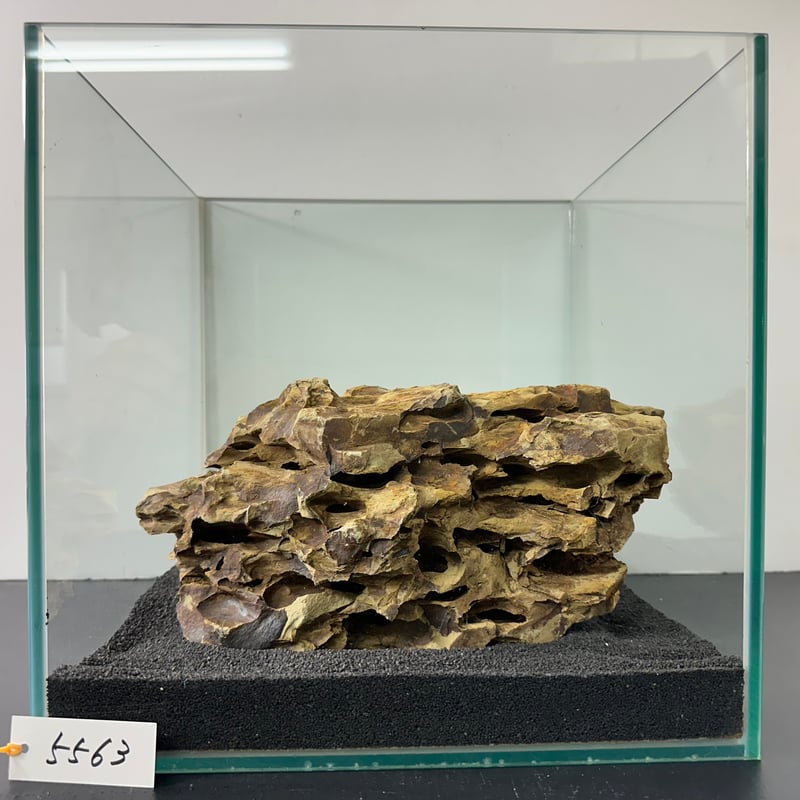 こもれび365　気孔石25kg　3-18cmランダム発送 気孔石Sサイズ おまかせ3㎏（kgあたり660円） | 流木専門店の