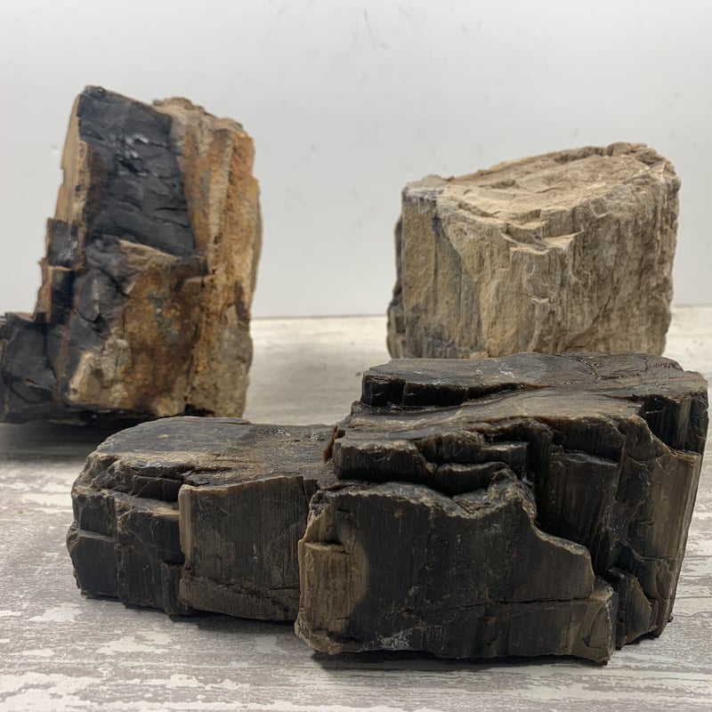 木化石 レギュラー 3kg セット（kgあたり650円） | 流木専門店のアクア