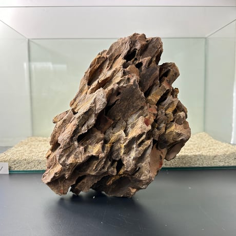 BIG気孔石塊　１点もの　No.5011（W約31cm/H約25cm)(60cm水槽）