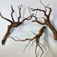 マングローブ系流木 Mサイズ 約25〜35㎝ おまかせ6本セット | 流木専門