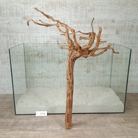 お買い得ロングネシア流木 ブラウンタイプ　3Lサイズ　1点ものNo.1820A【W約 59cm】