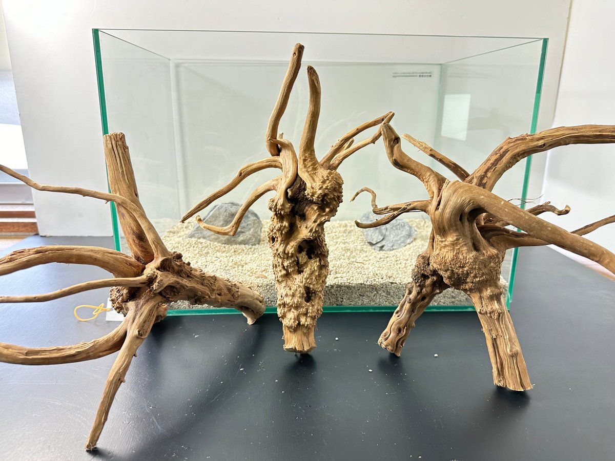 3本組ブランチウッド Lサイズ（1点ものW約25cm-30cm） No.5055 (4