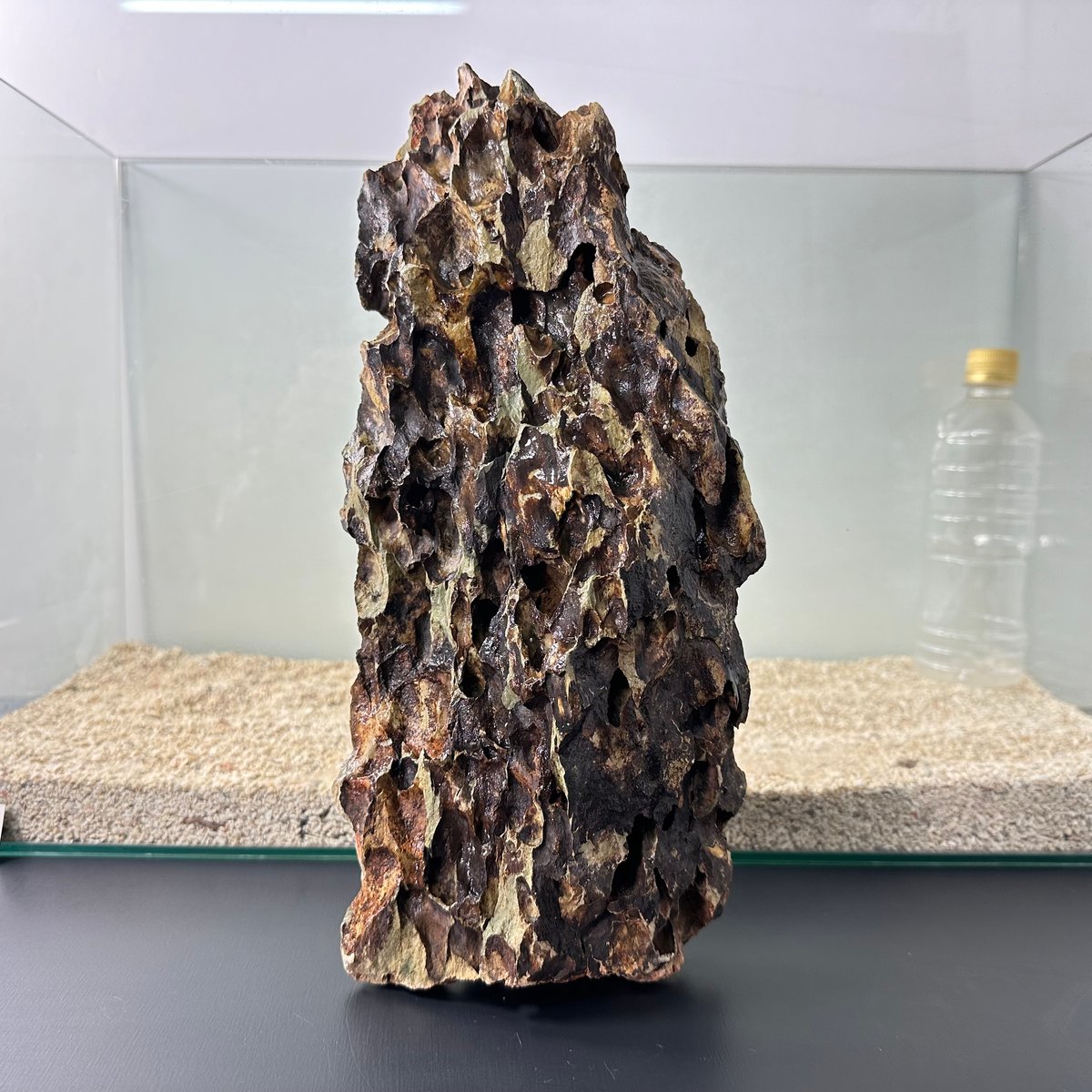 ごとう様 気孔石 17kg ごとう様気孔石17kg
