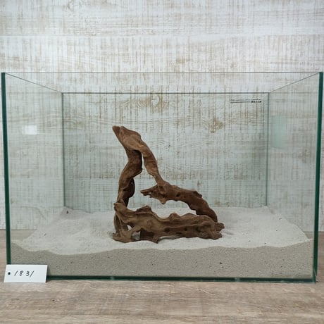マングローブ系流木.     Mサイズ(W約26cm)・オンリーワン ★現物撮影  1点　No.1831（45cm水槽)
