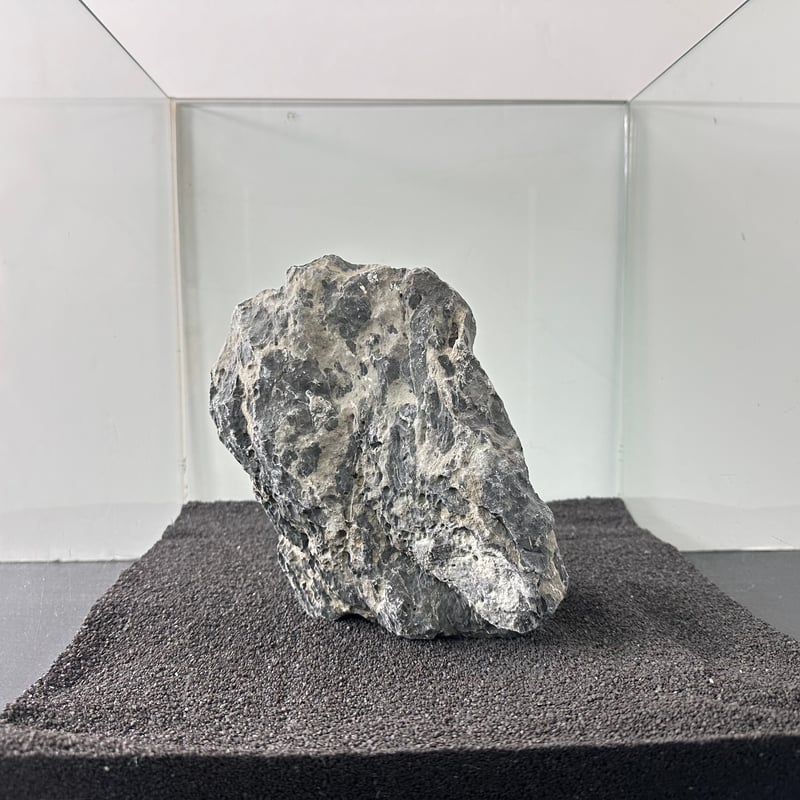 BIGドラゴンストーン 1点もの No.5555（W約18cm) (30cm水槽) | 流木専