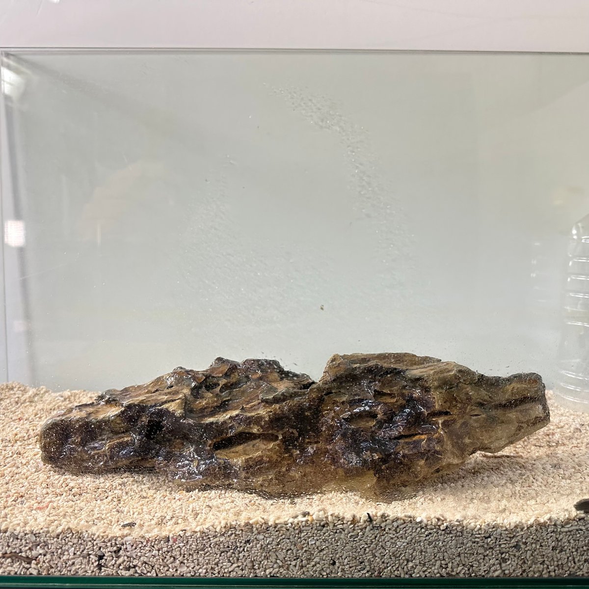 大型気孔石 Amazon | 気孔石 黄虎石 蜂炎石 水槽 アクアリウム 花壇