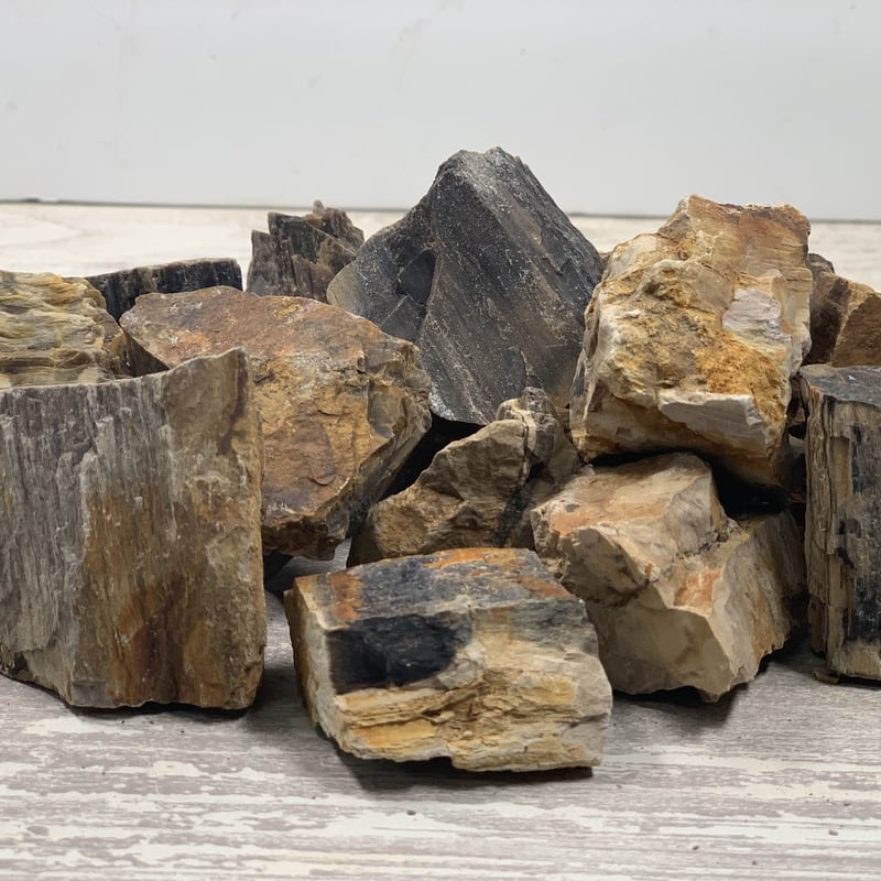 木化石・MIX（レギュラー3kg セット＋ミニ1kg）セット（kgあたり600円