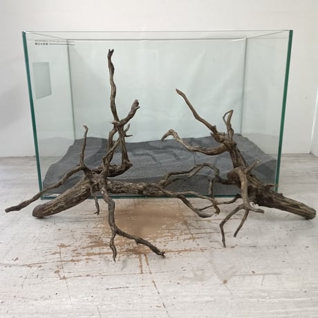 流木 Amazon.co.jp: 【1～3日以内 発送】空洞型バニヤン盆栽流木ADA 流木