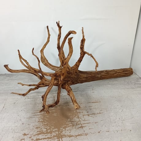 天然自然流木　ビッグな超希少　龍木竜木辰年　直接引き渡し限定　大阪府 天然自然流木ビッグな超希少龍木竜木辰年直接引き渡し限定大阪府