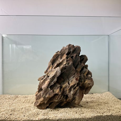 BIG気孔石塊　１点もの　No.5011（W約31cm/H約25cm)(60cm水槽）