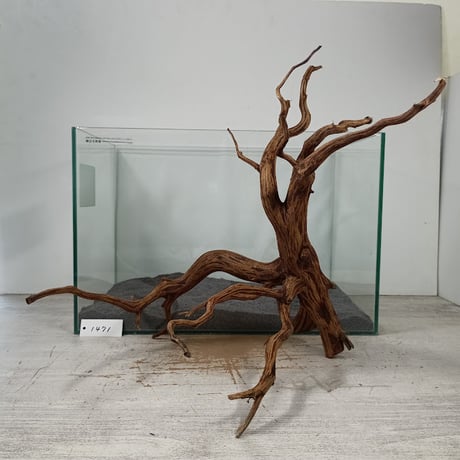 流木 ミディアムサイズ一式 流木指定グラスアクアリウムセット CYLINDER006 – PINTO