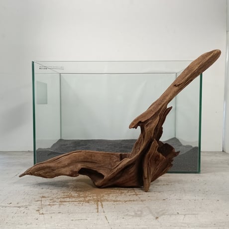 CATEGORY 2L | 流木専門店のアクアリバー/アクアリウム/グリーンインテリア