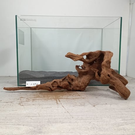 CATEGORY 流木（全種類） | 流木専門店のアクアリバー/アクアリウム