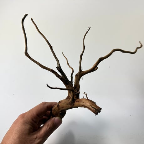 ネシア流木 ブラウンタイプMサイズ約20cmから30cm    形状おまかせ３本セット　1点もの